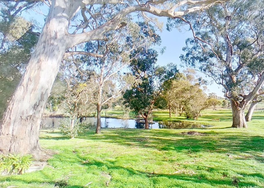 WhatsApp Image 2025-11-13 at 5.00.05 PM